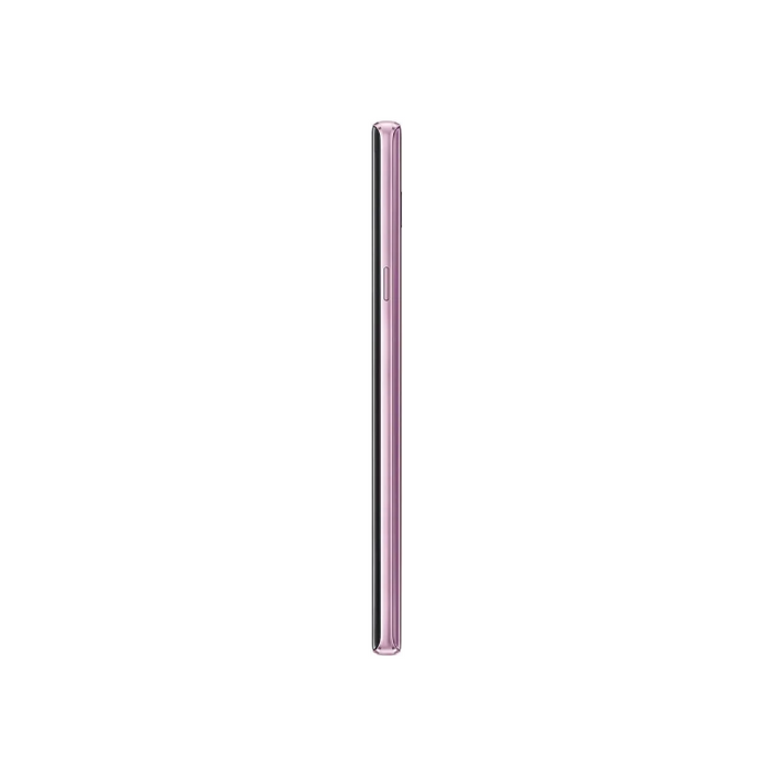 Lavender Purple