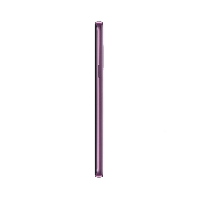 Lilac Purple